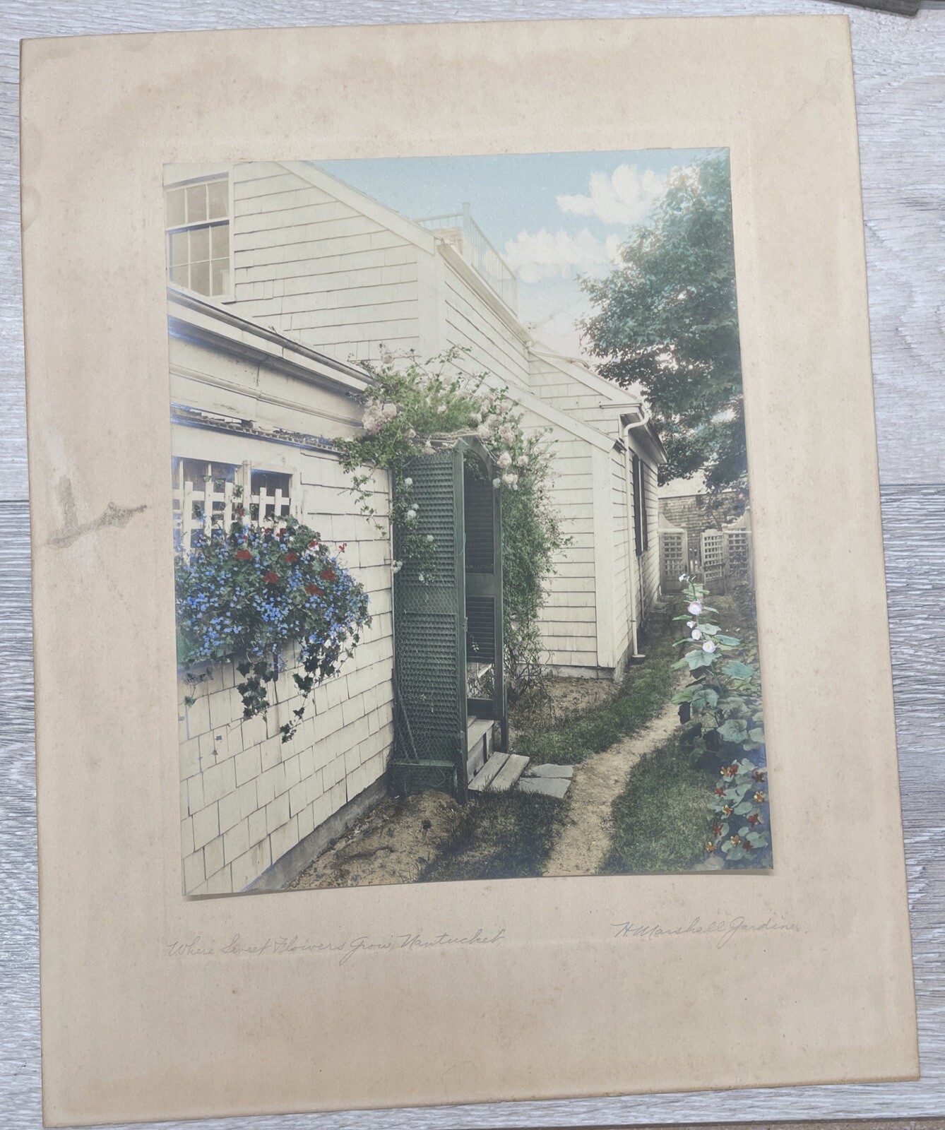 H. Marshall Gardiner Nantucket, MA Hand Colored Photo Print Signed Sweet Flower