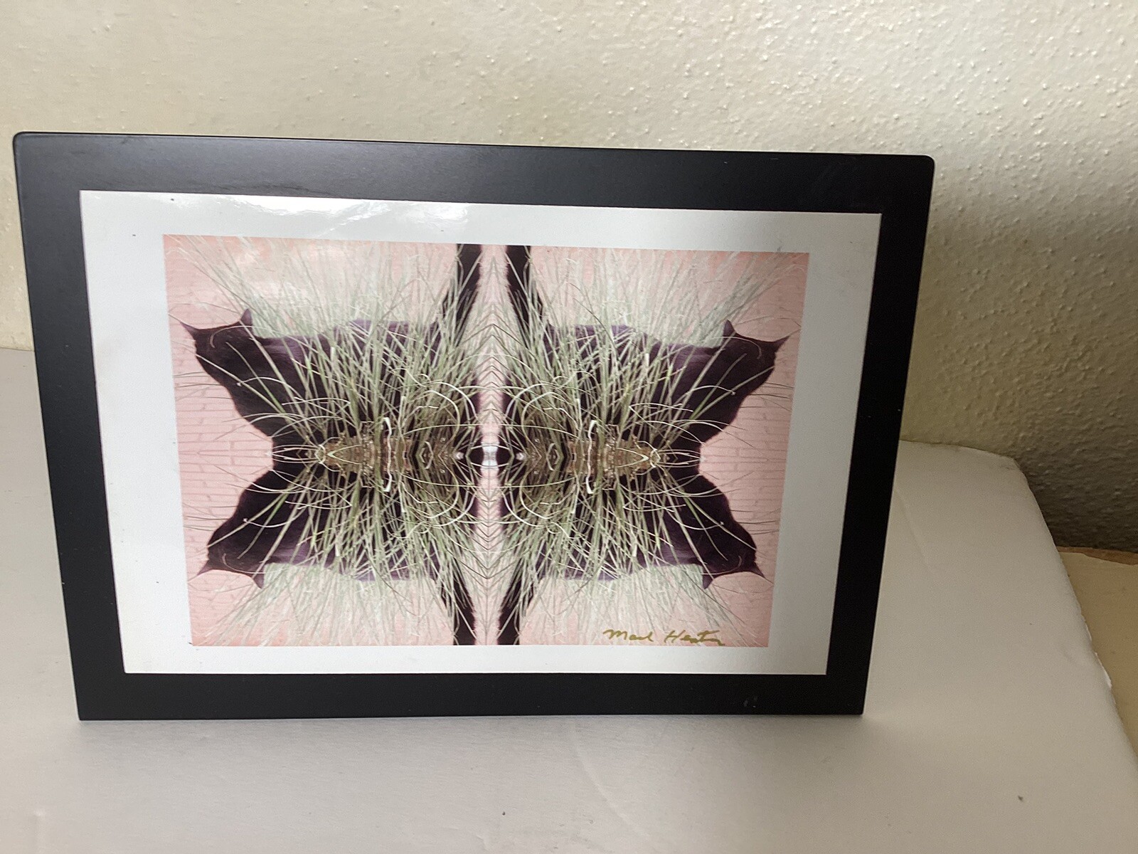 Cat Photography refleted Cats In Grass On Metal Easel Stand 5” X 7”