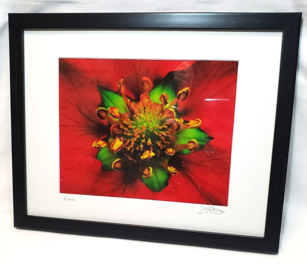 Inside the Flower Brilliant Red Photo Signed an Dated Matted an Framed 12″x15″