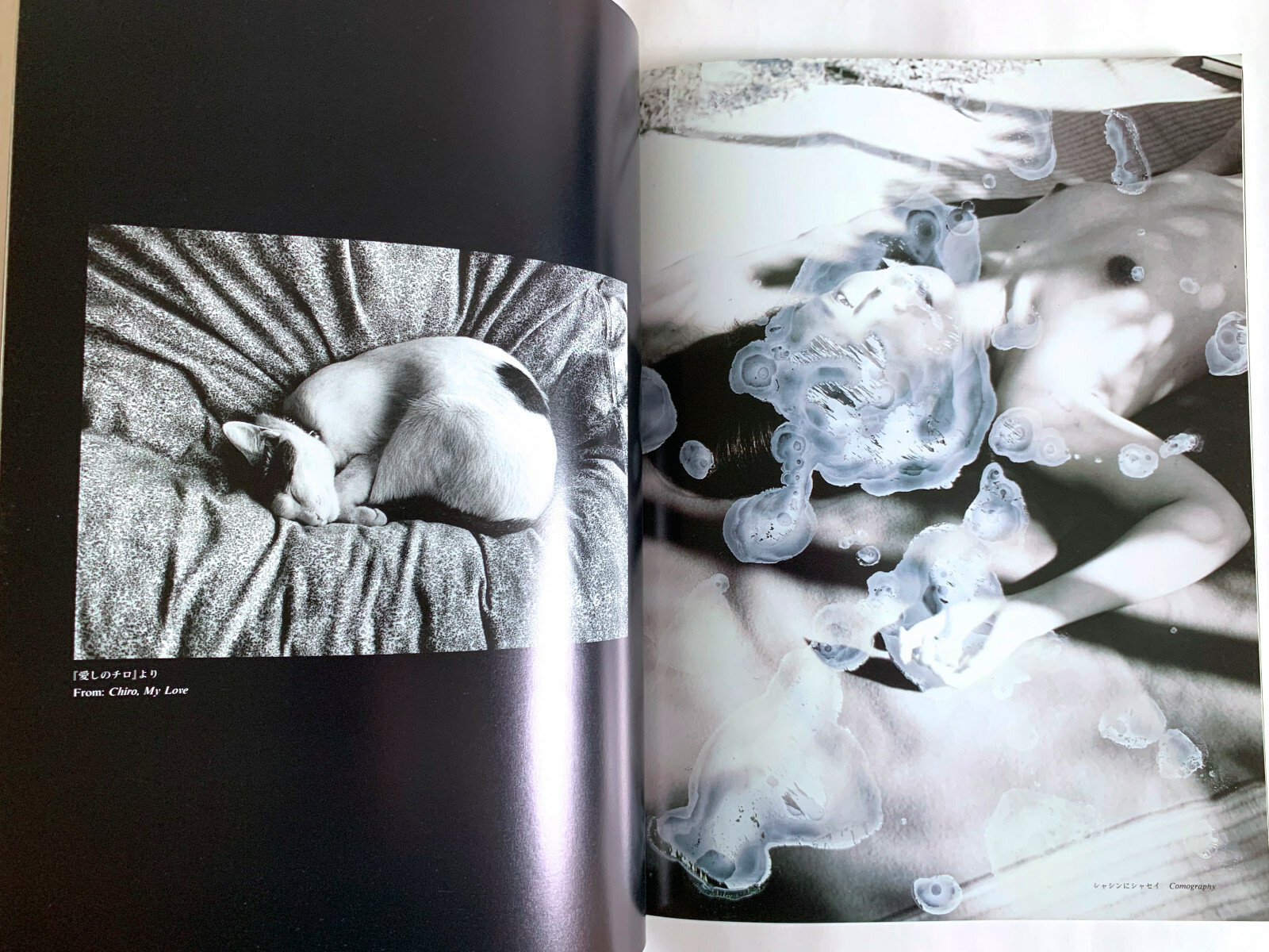 NOBUYOSHI ARAKI SPECIAL ISSUE deja-vu JAPAN PHOTOGRAPHY MAGAZINE 1991 Photo D02