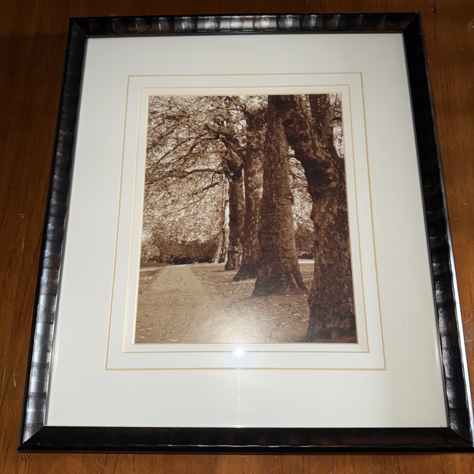 2 Park Walkway In Fall Sepia Black & White Prints Framed Matted You Get Both