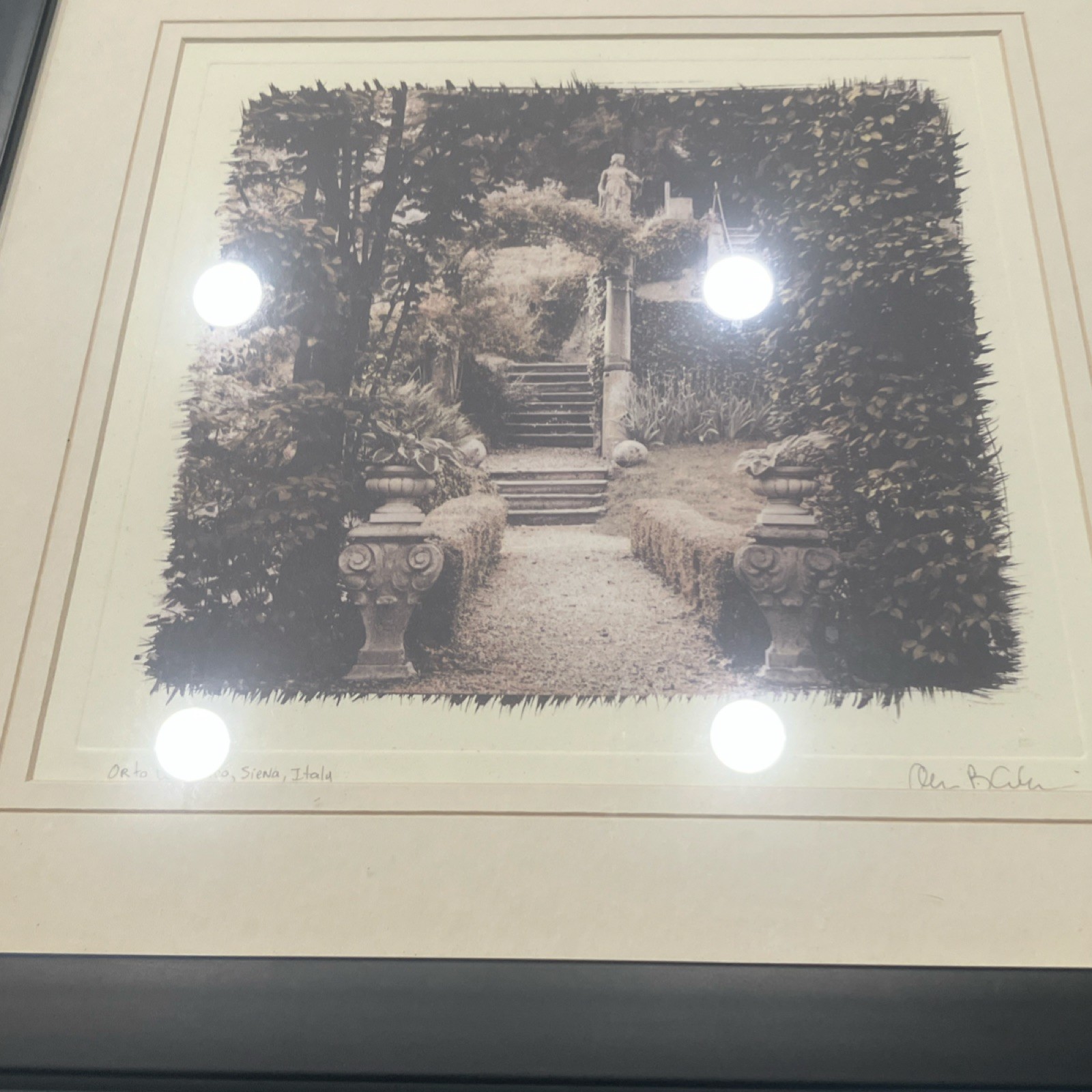 Alan Blaustein European Garden Sepia Set of 3 Framed Landscape Photographs