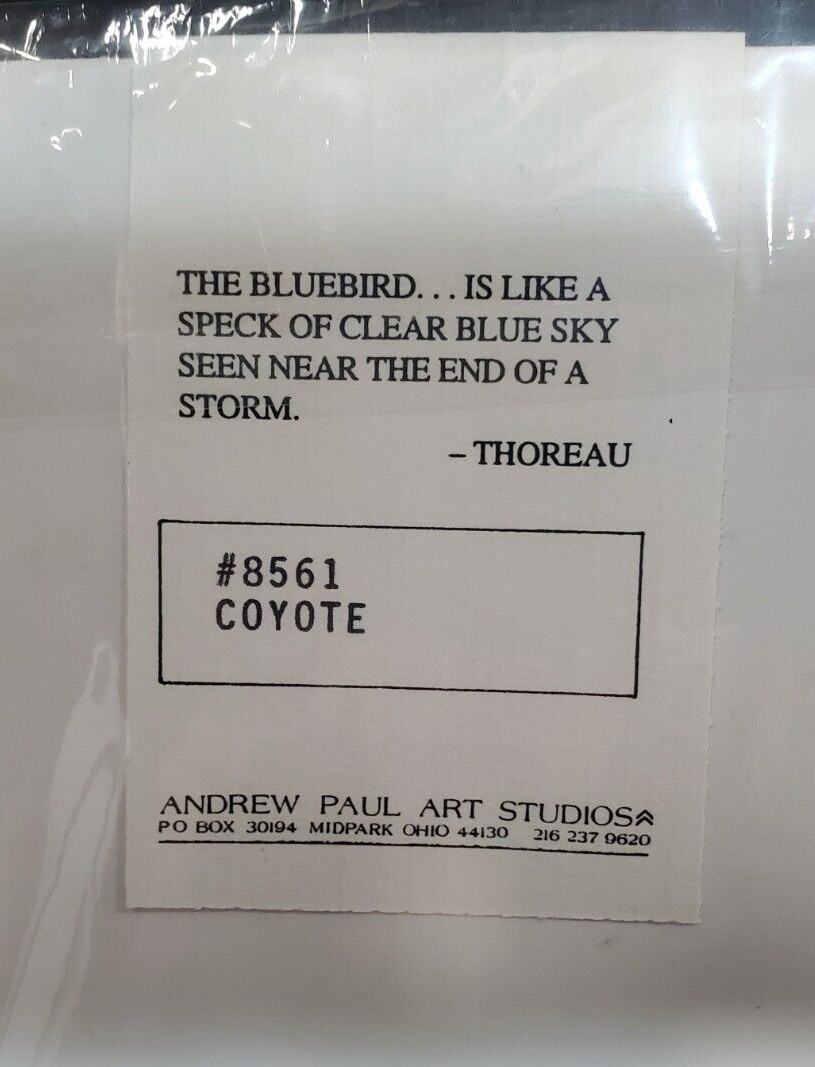 VTG. Coyote #8561, Matted photo Andrew Paul Art Studios The World of Animals NIP