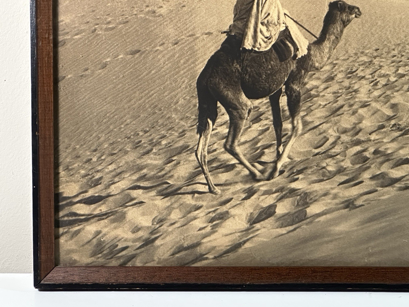 As Found Framed Lehnert & Landrock Panoramic Photo North African Desert Camel
