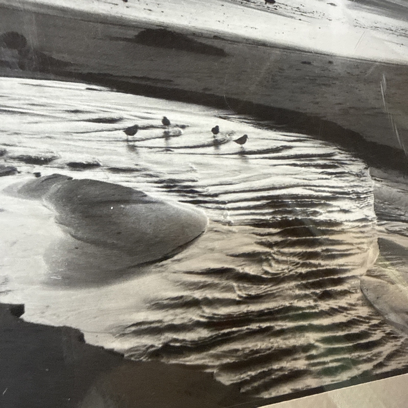 Ansel Adams Birds on a Beach Evening Framed Framed 1966 Photo 12×14 Wall Art VTG