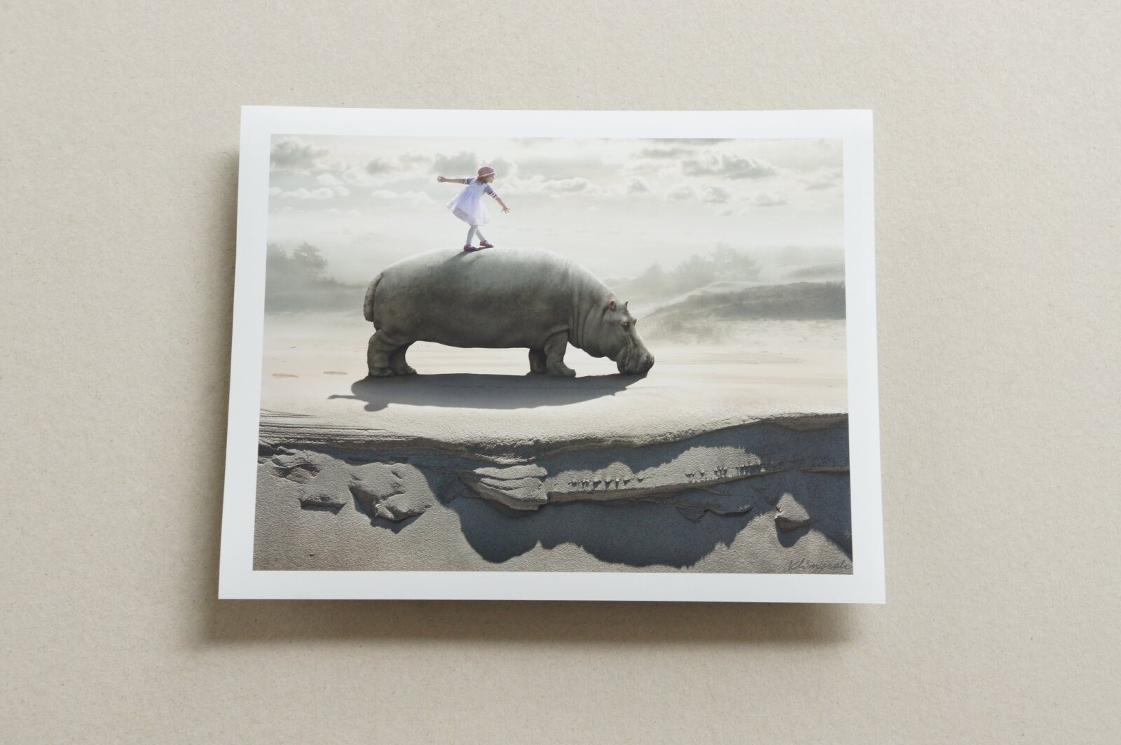 Signed ORIGINAL Animal Art Folio of Hippos Elephants Giraffe Camel & Fish Prints