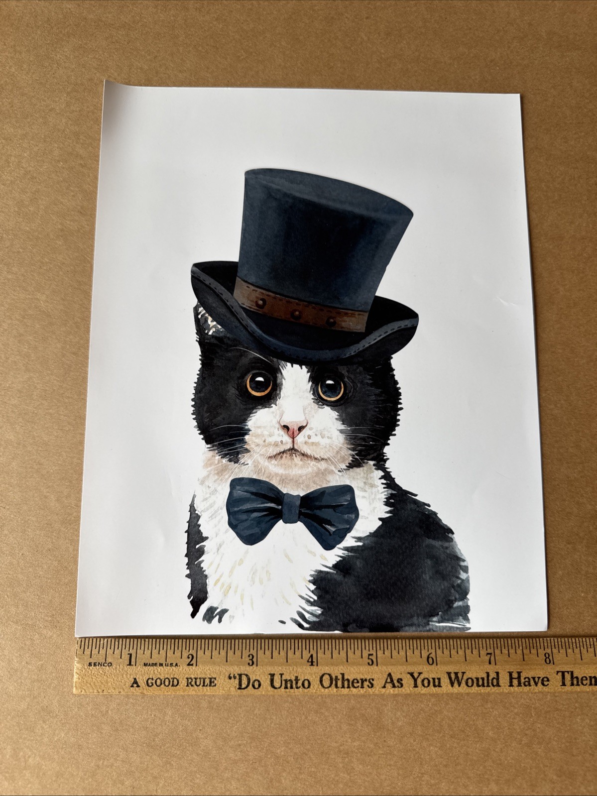 Tuxedo Cat 8 x 10 Photograph Photo Picture Art Print Wall Hanging – free US ship
