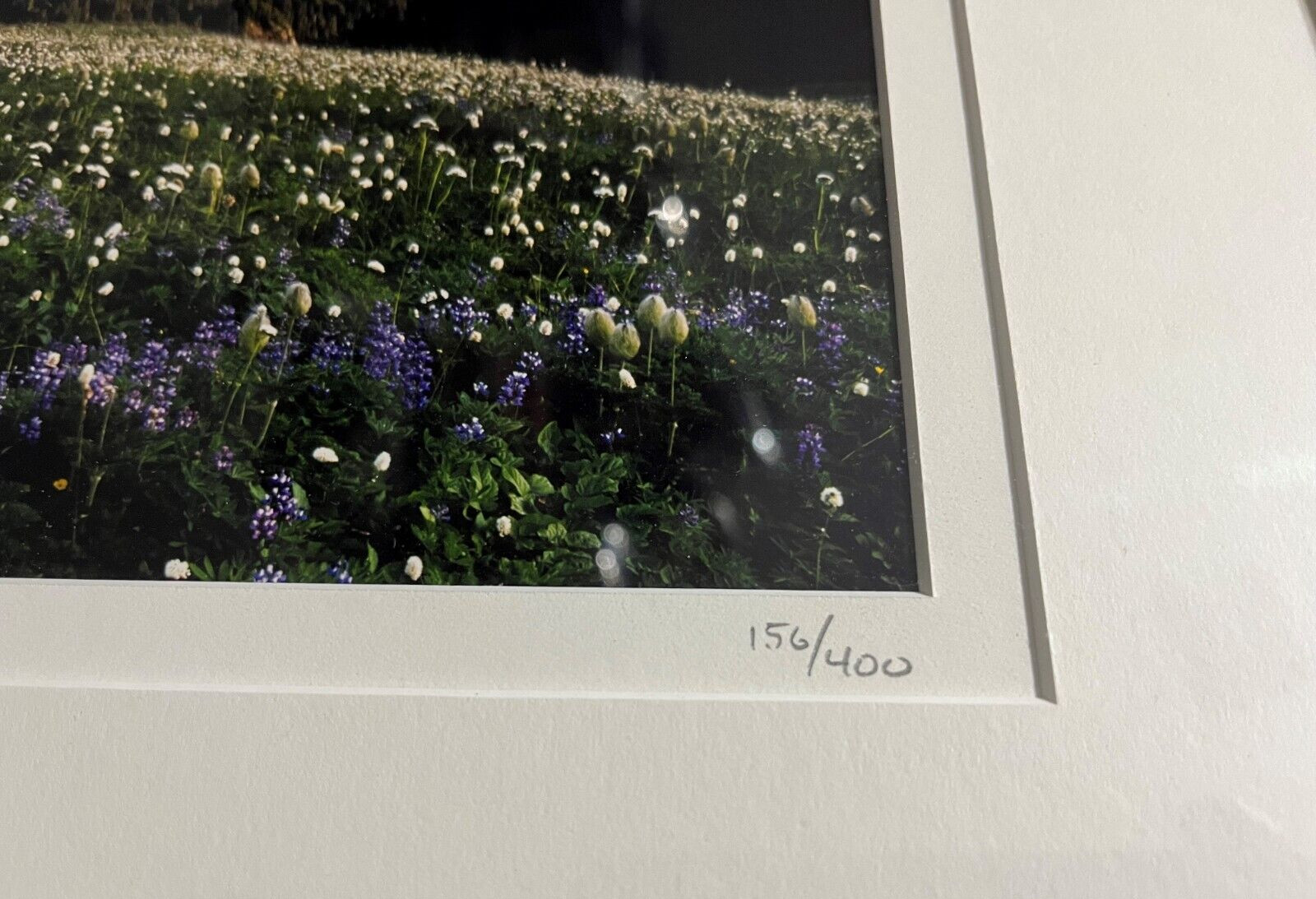 DOUG REMIEN Mountain Meadows Mt Rainer Park 156/400 Limited Signed Framed Photo
