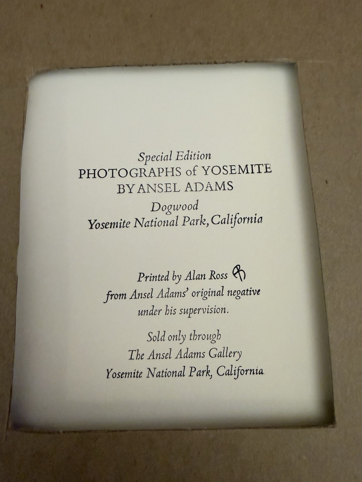 ANSEL ADAMS Dogwood Yosemite Special Edition Gelatin Silver Print Matted Only