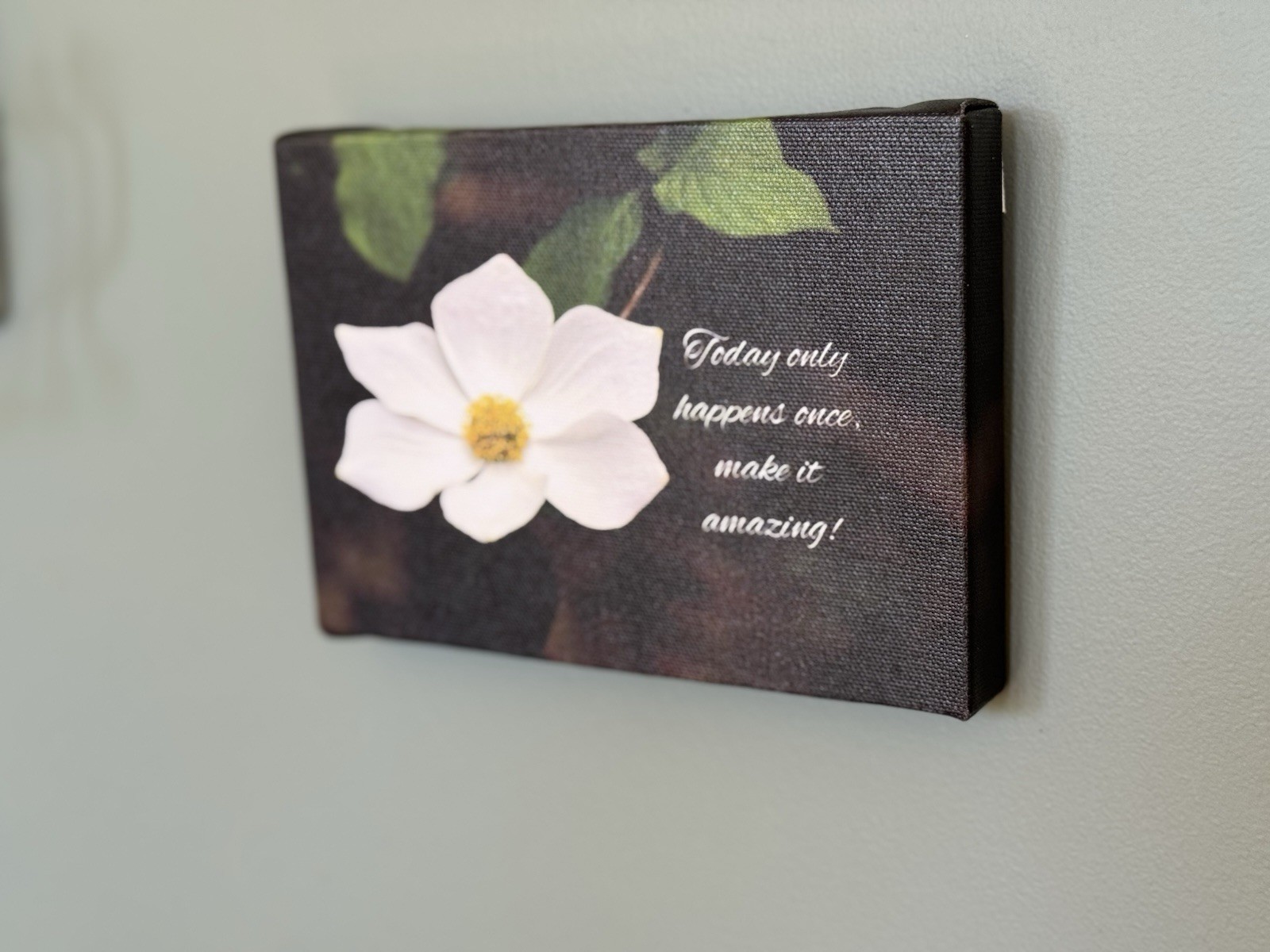 Beautiful Photo Of A Dogwood Blossom, Reminding Us To Be Present Photo On Canvas