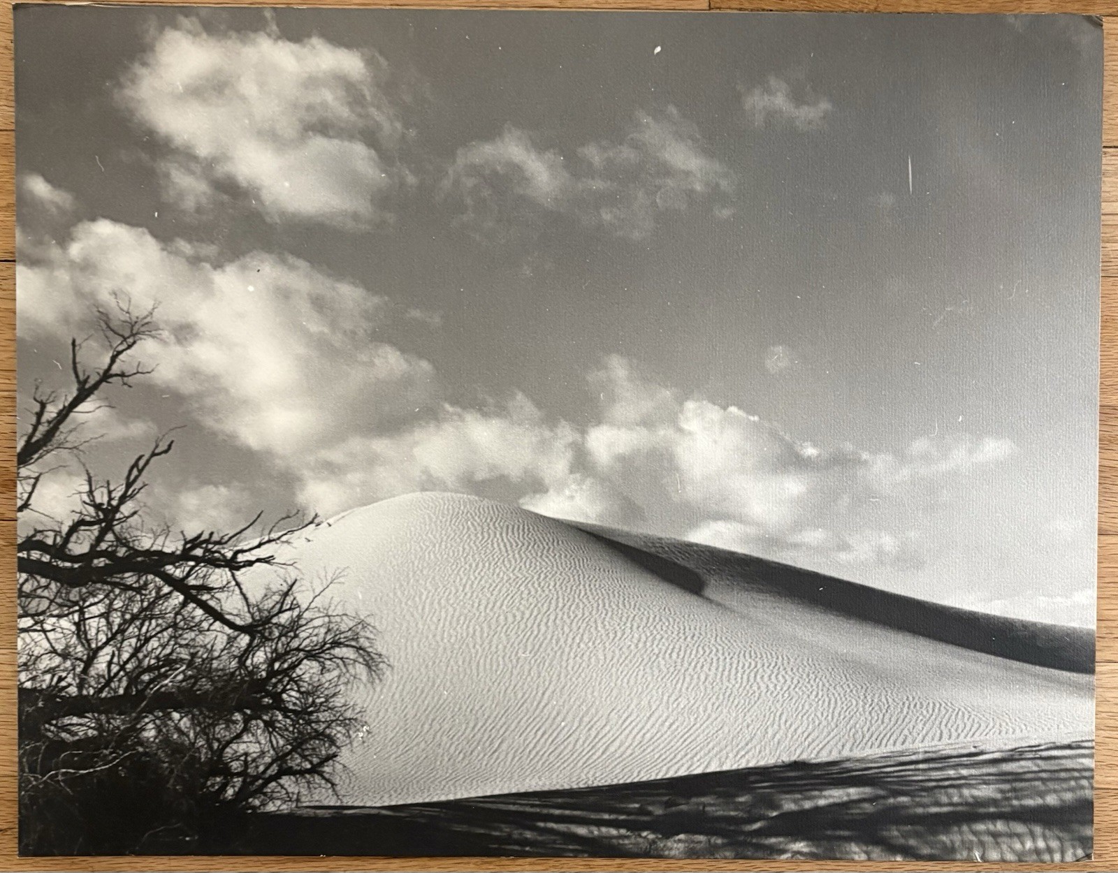 FLOYD B. EVANS Desert Photographer Original Vintage Silver Photo California WPA