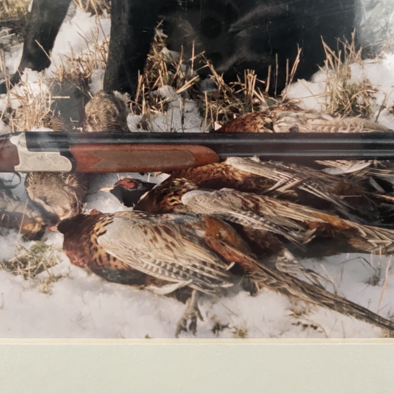 Gerry Lamarre Wildlife Photographer Print Black Lab Hunting Rifle Pheasant Snow