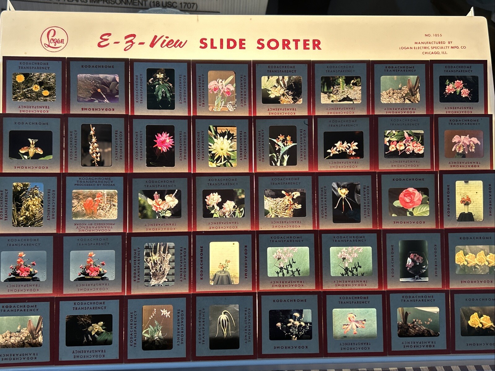 Kodachrome Red Border Lot Of 40 1950’s Still Life Flowers 35mm Color Slides A