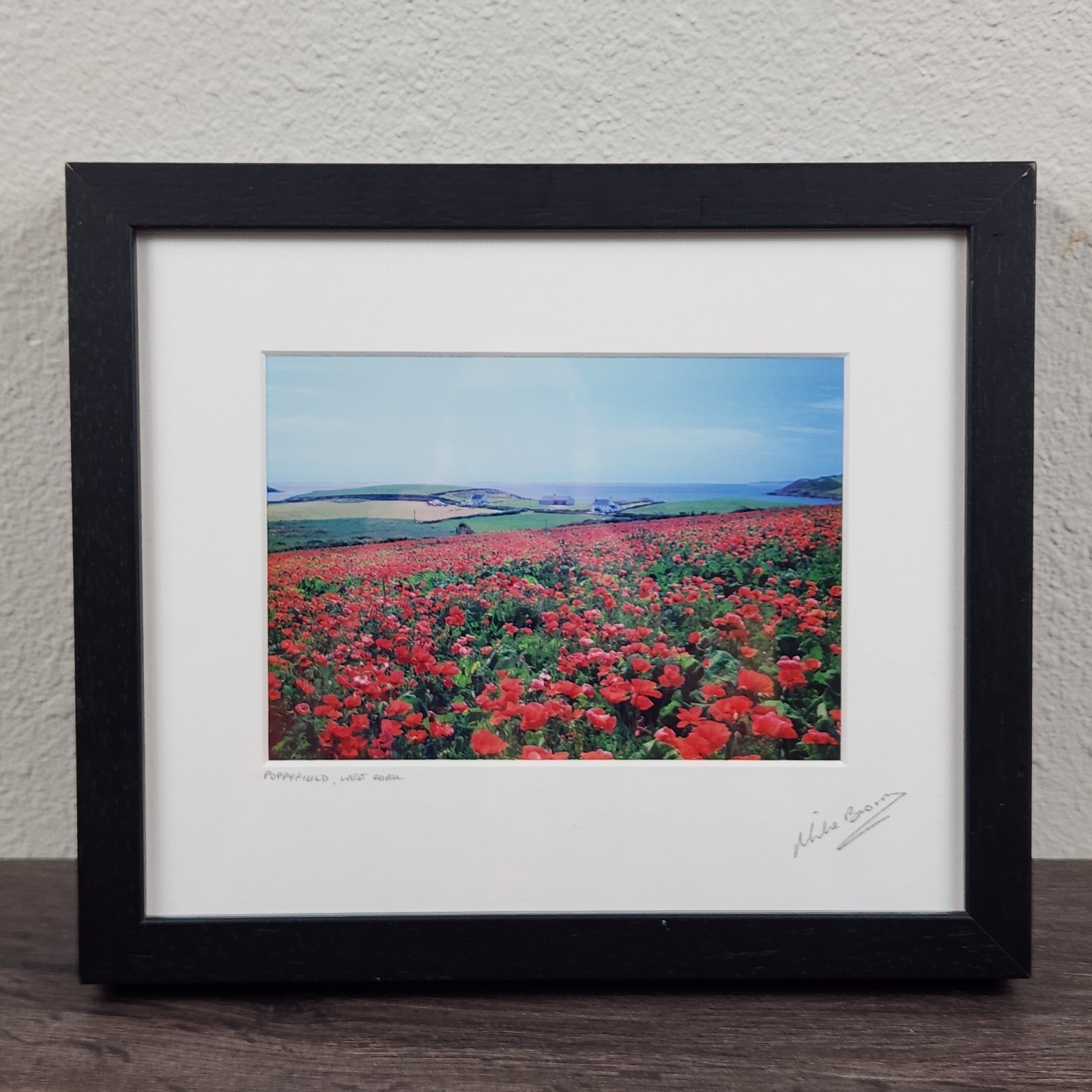 Mike Brown Photography Poppyfield West Cork Signed Framed Art Irish Landscape