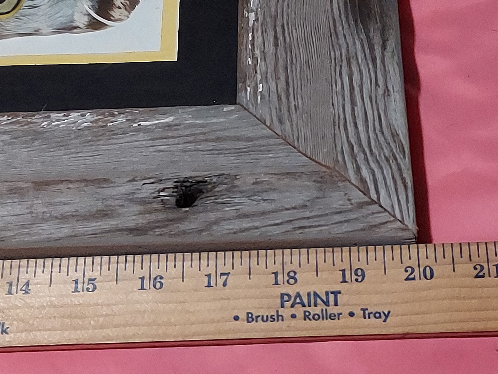 Picture of Painted Turkey Feather With Bald Eagle Eyes Beak Vtg Look Wood Frame