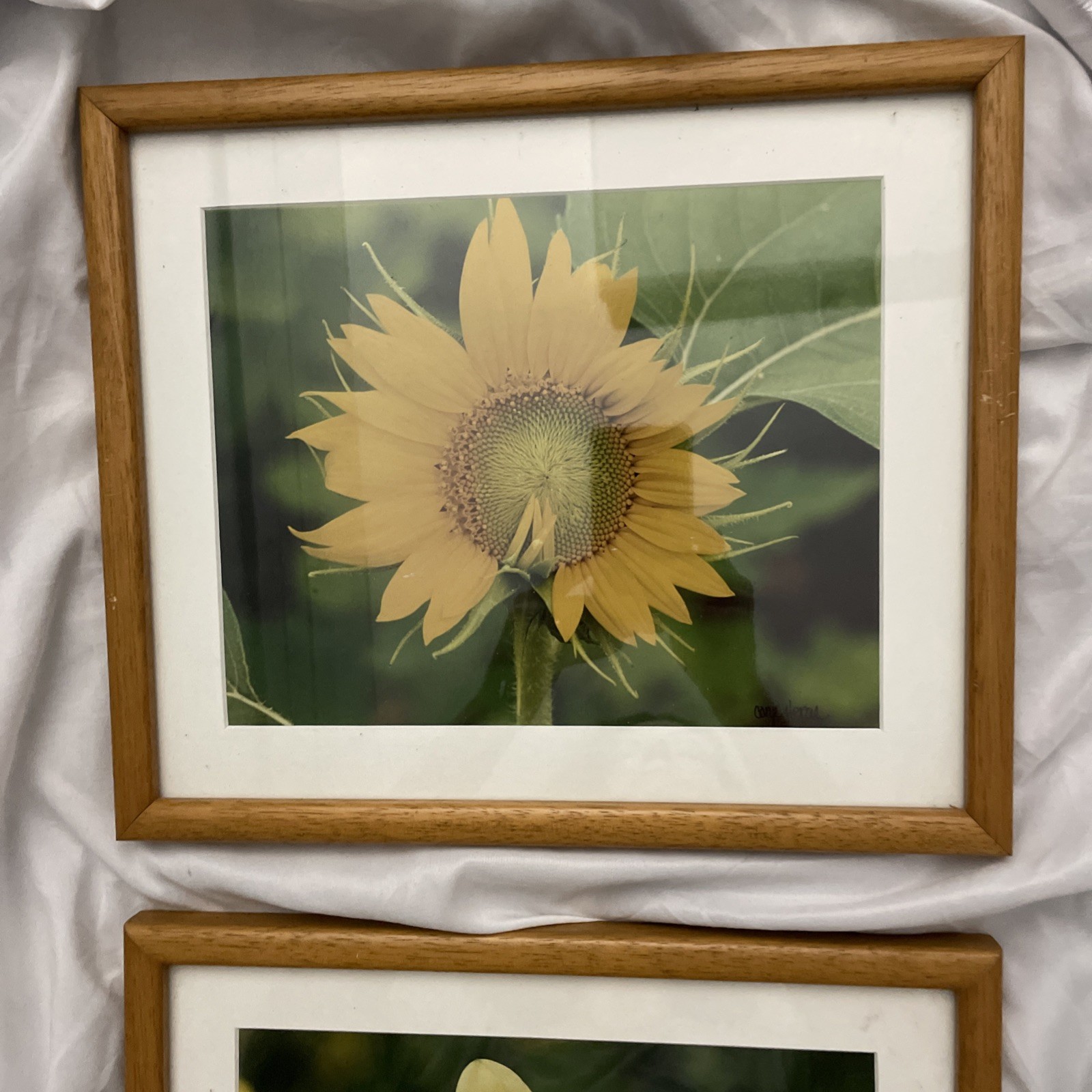 Framed & Matted Sunflower Dahlia Photo Art Vintage 1980’s Signed Caryl Heral