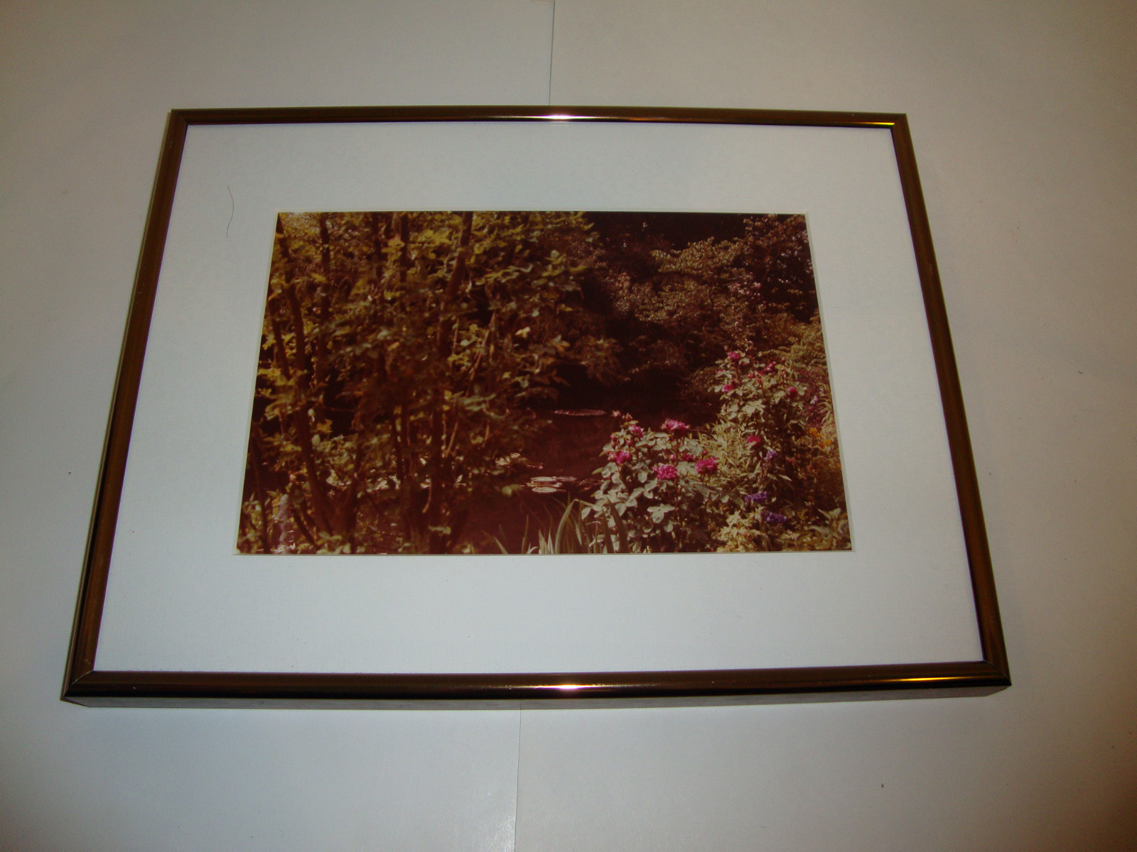 Pond Flower Tree Photo Lake In A Schneider Custom Frame Pewter Metal Park Nature