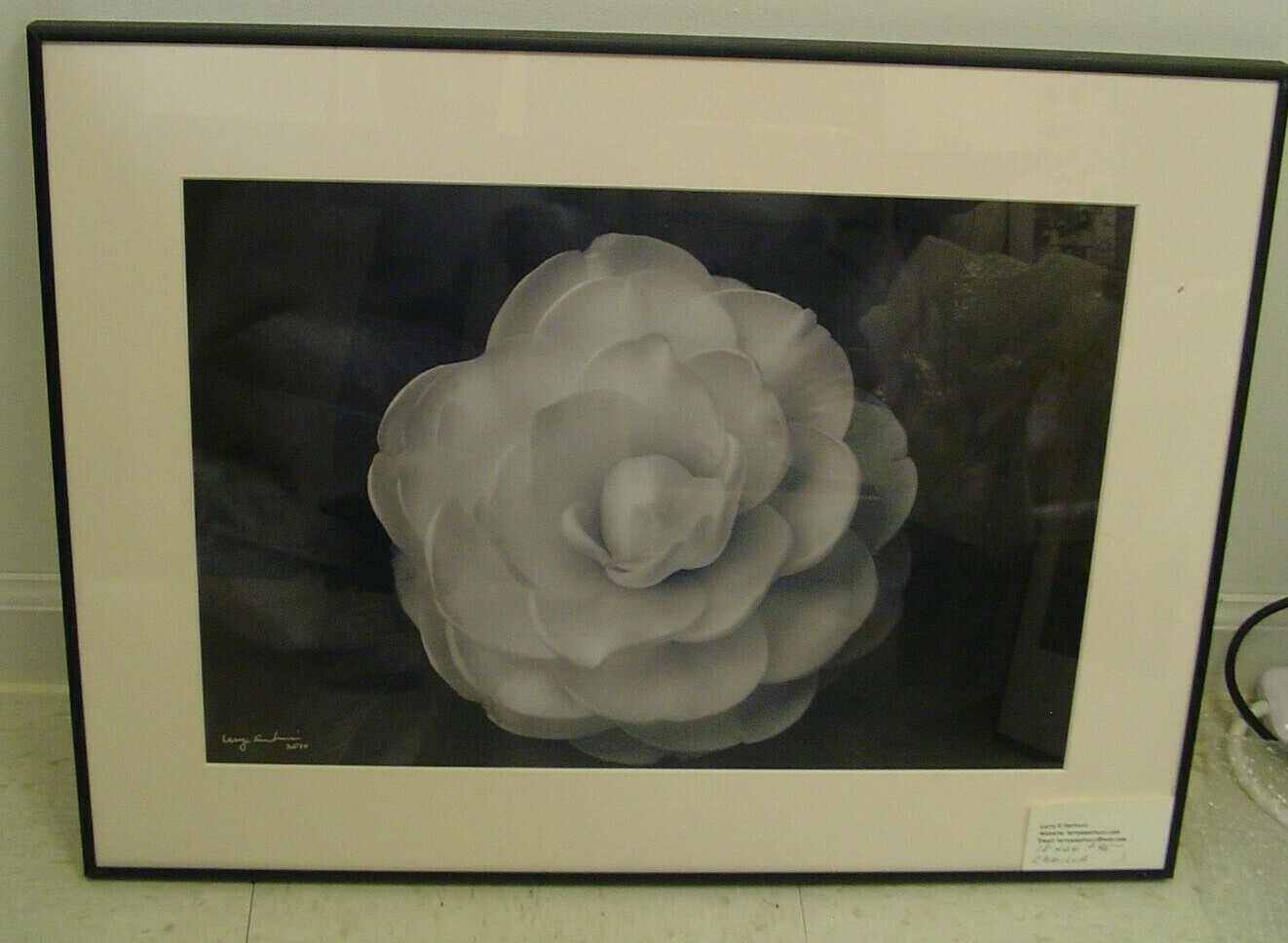 ART PHOTOGRAPHY white layered flower black &white by L. Santucci Frames 18x24in