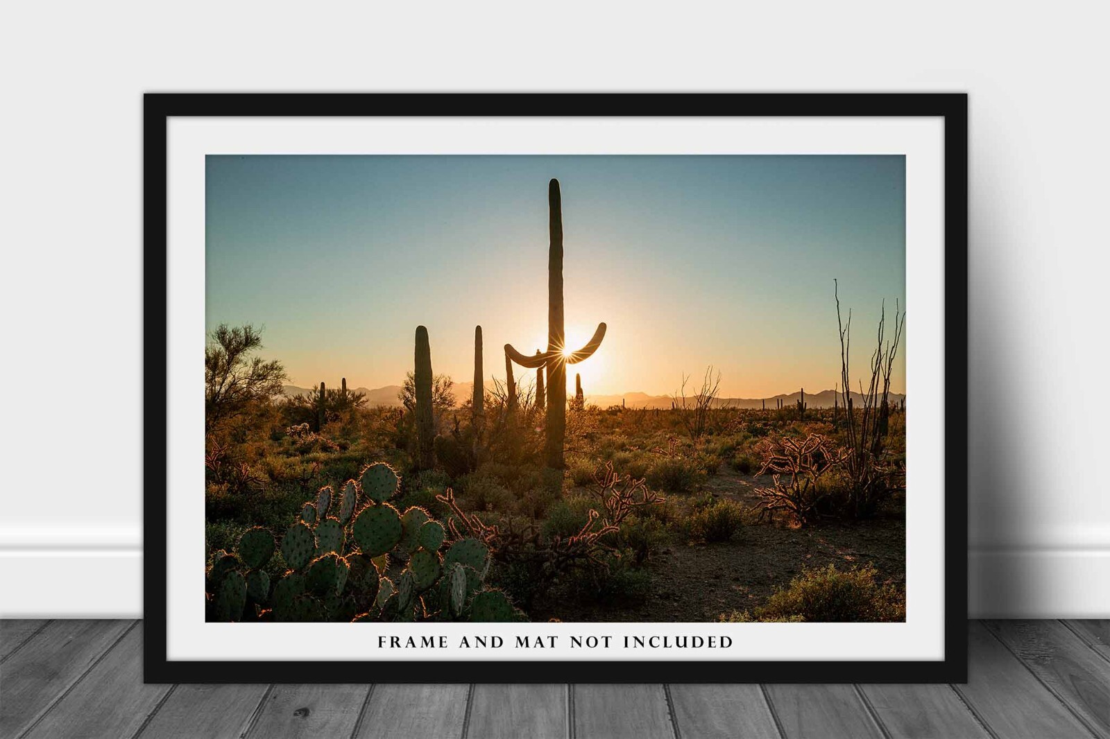 Saguaro Cactus Photography Print: Arizona, Sonoran Desert, Picture, Photo