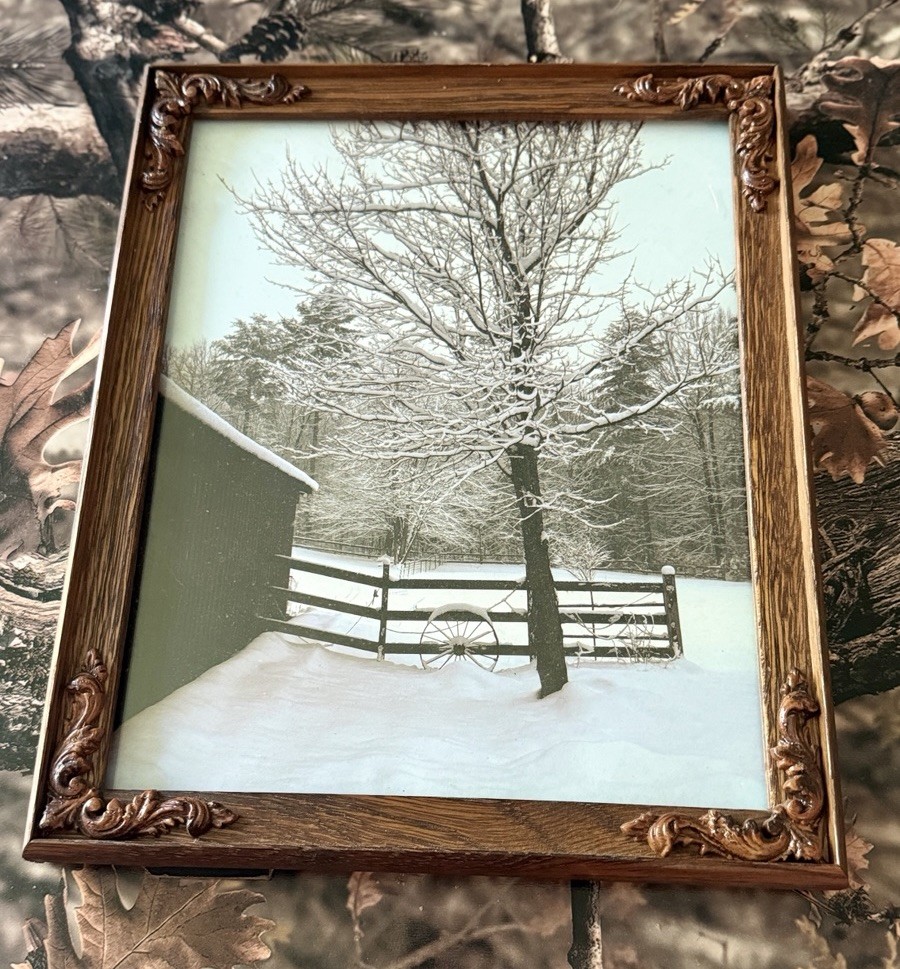 Original photograph, ‘Winter Maple’ by Serene Scenes in Maine, 8×10
