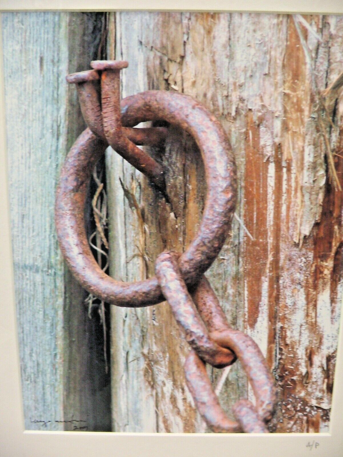 ART PHOTOGRAPHY Chain Lock A/P Color Matte Paper 16×20 By Larry Santucci