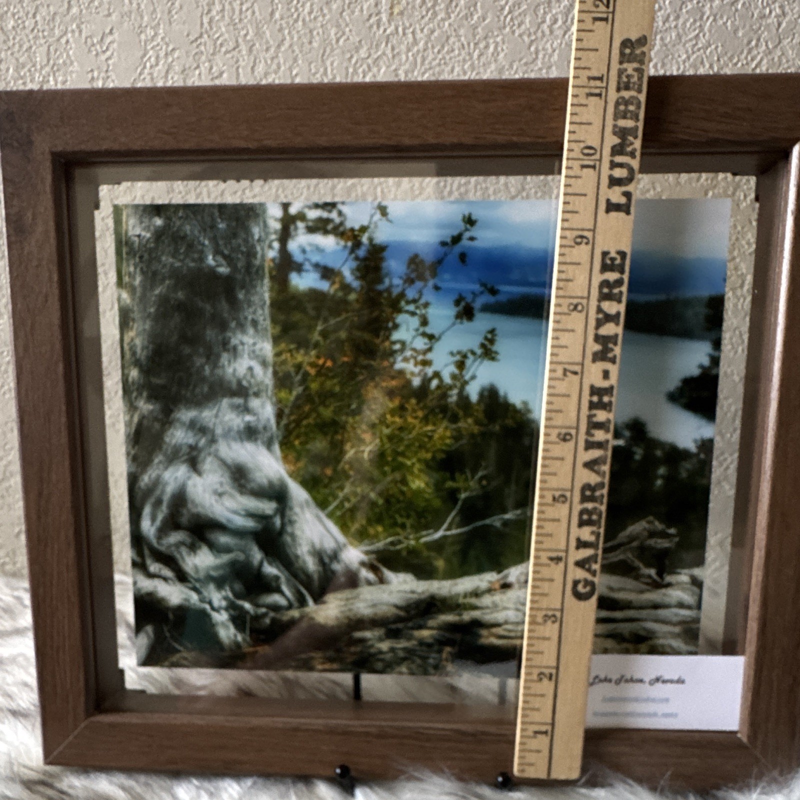 Amanda Eunice “Lake Tahoe, Nevada” Framed Color Landscape Photo Nature