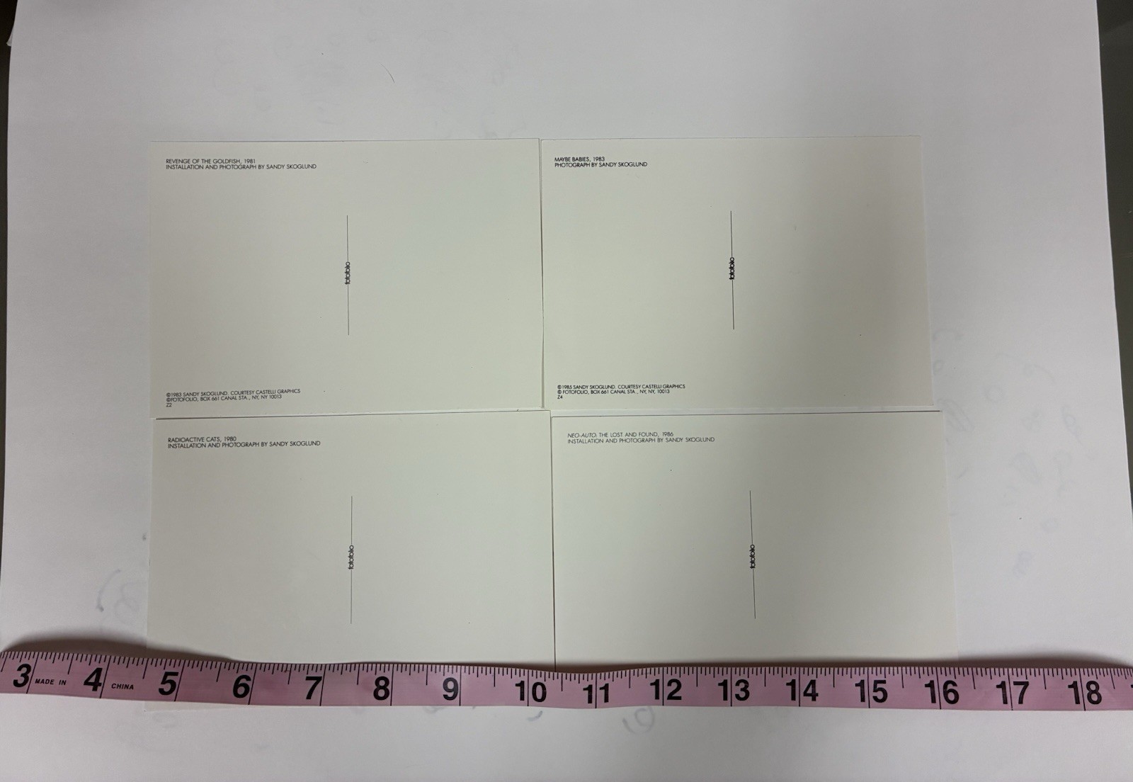 Sandy Skoglund Transparency Archive Lot Revenge Goldfish Radioactive Cats