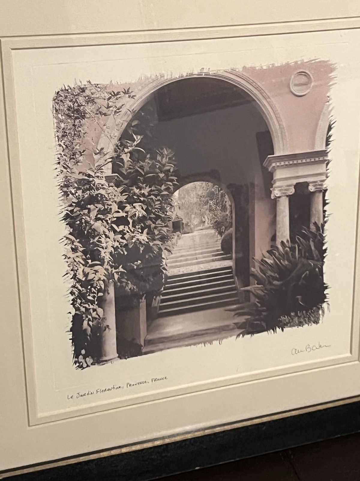 European Garden By Allan Blaustein Photography Framed With Glass 18 1/2 X 18 1/2