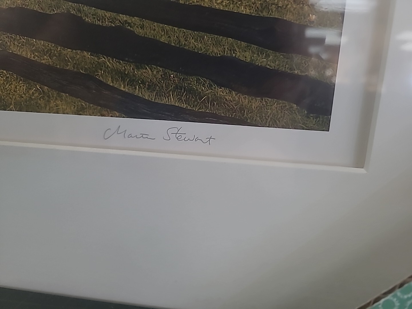 Martha Stewart ”’SET OF 4 FRAMES OF YOUR CHOICE ”’ NEW