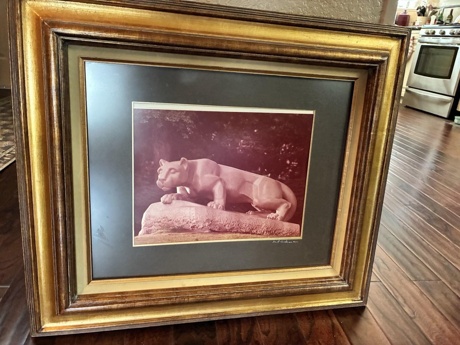 11″x14″ Photograph Nittany Lion Statue by Bill Coleman in 24″x28″ Wooden Frame