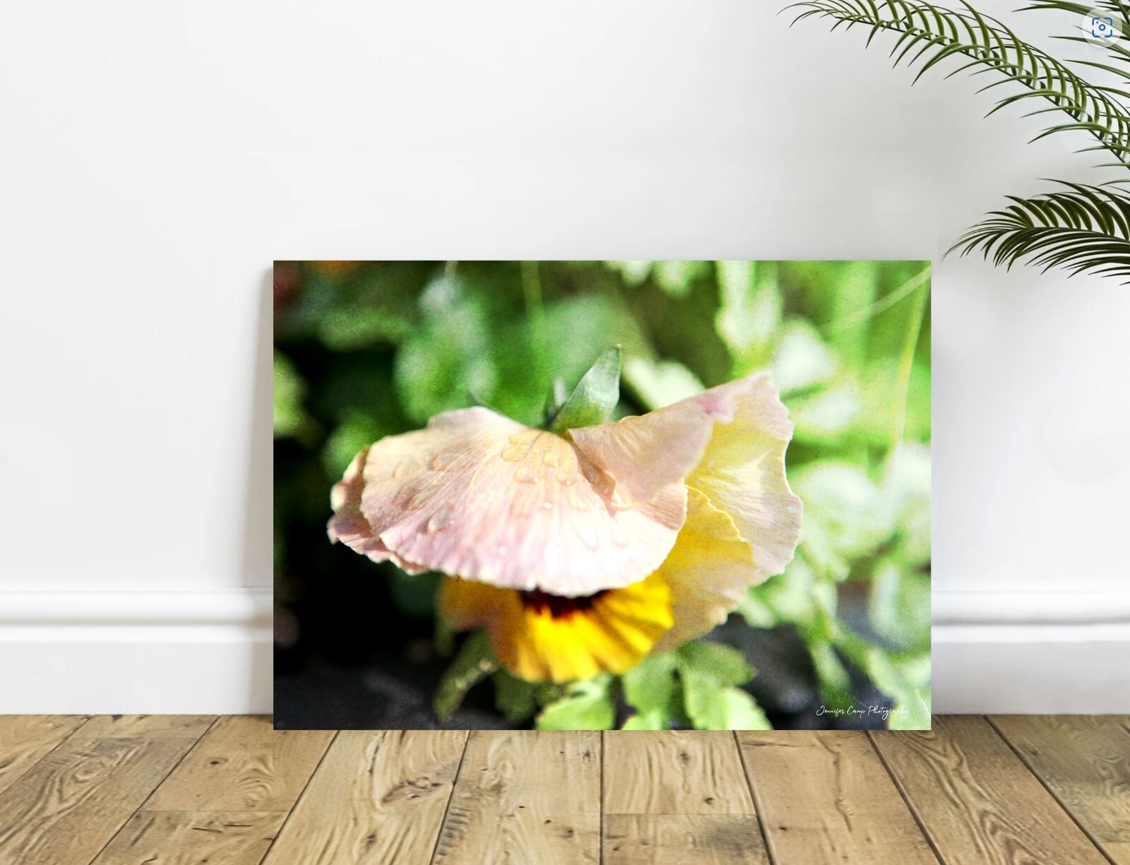 Yellow Poppy Flower Raindrop Home Decor, Wall Art, Bathroom Bedroom Photography