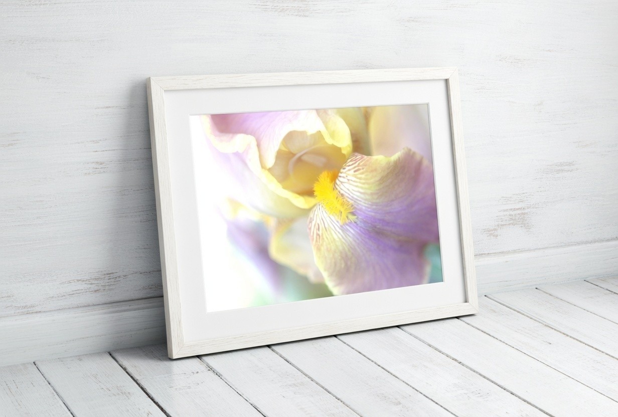Purple Lavender Iris Petal Flower Macro – Wall Art, Home Decor Photography