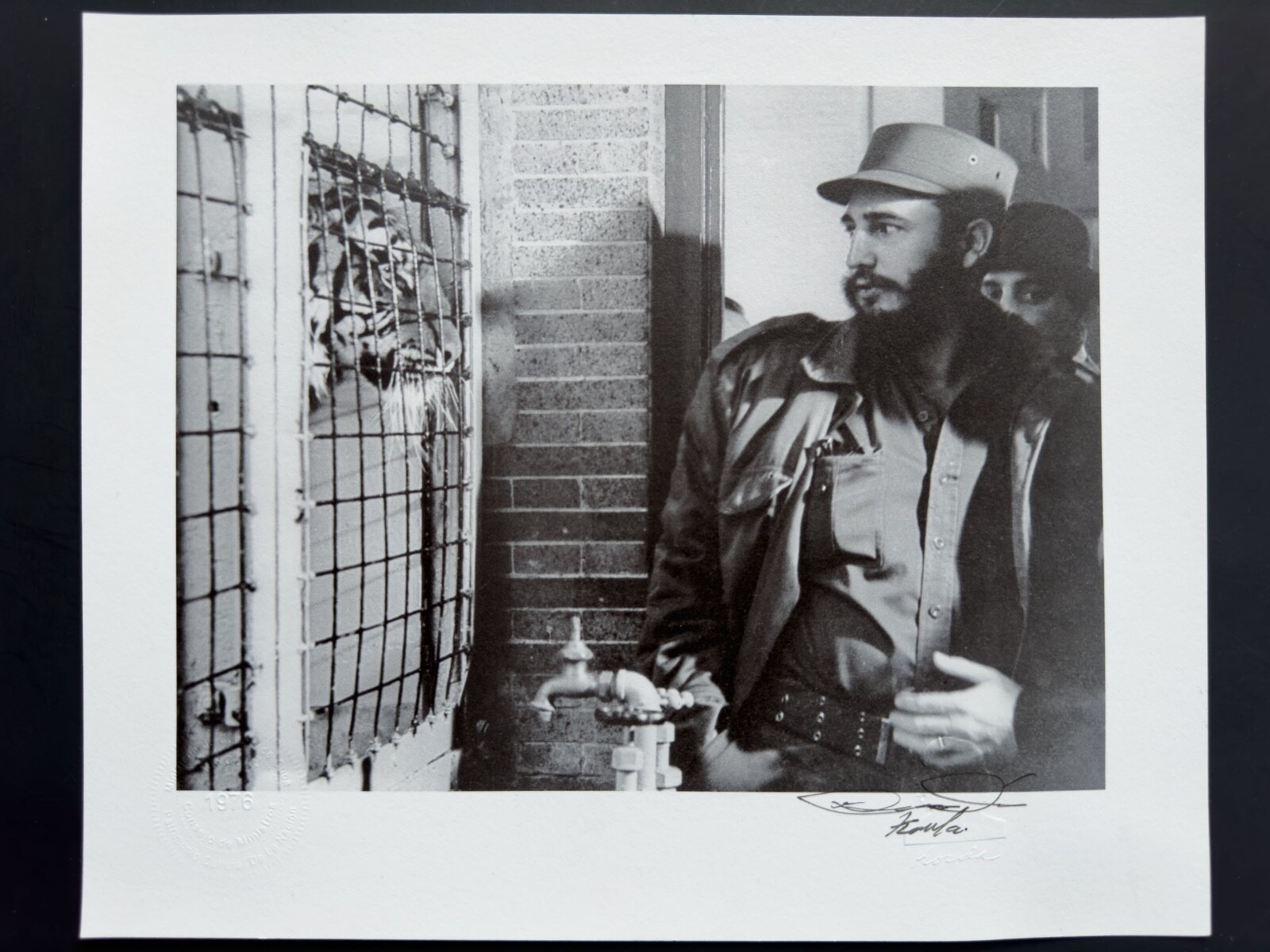 Fidel Castro and the Caged Tiger – Symbolic Moment by Korda Vintage Print