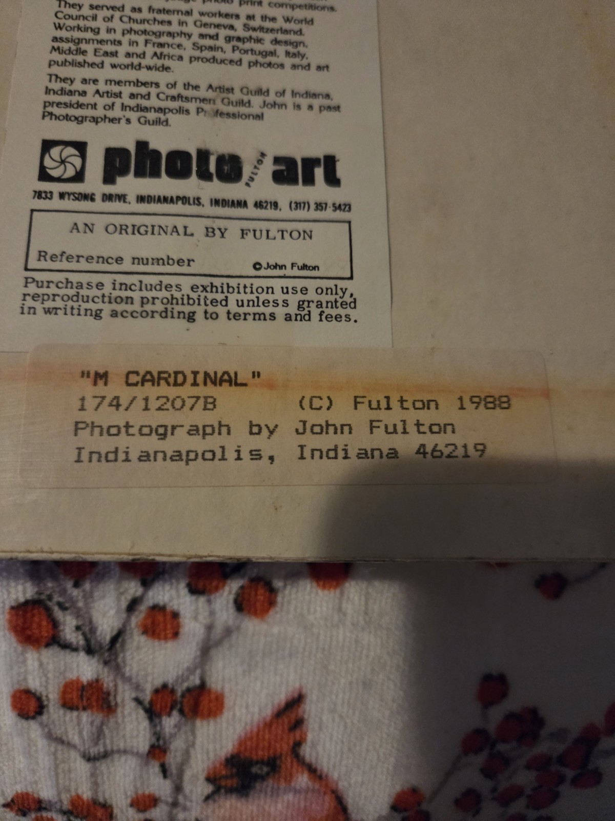 New Sealed John Fulton Original Photo Art Red Cardinal Numbered Signed 1988