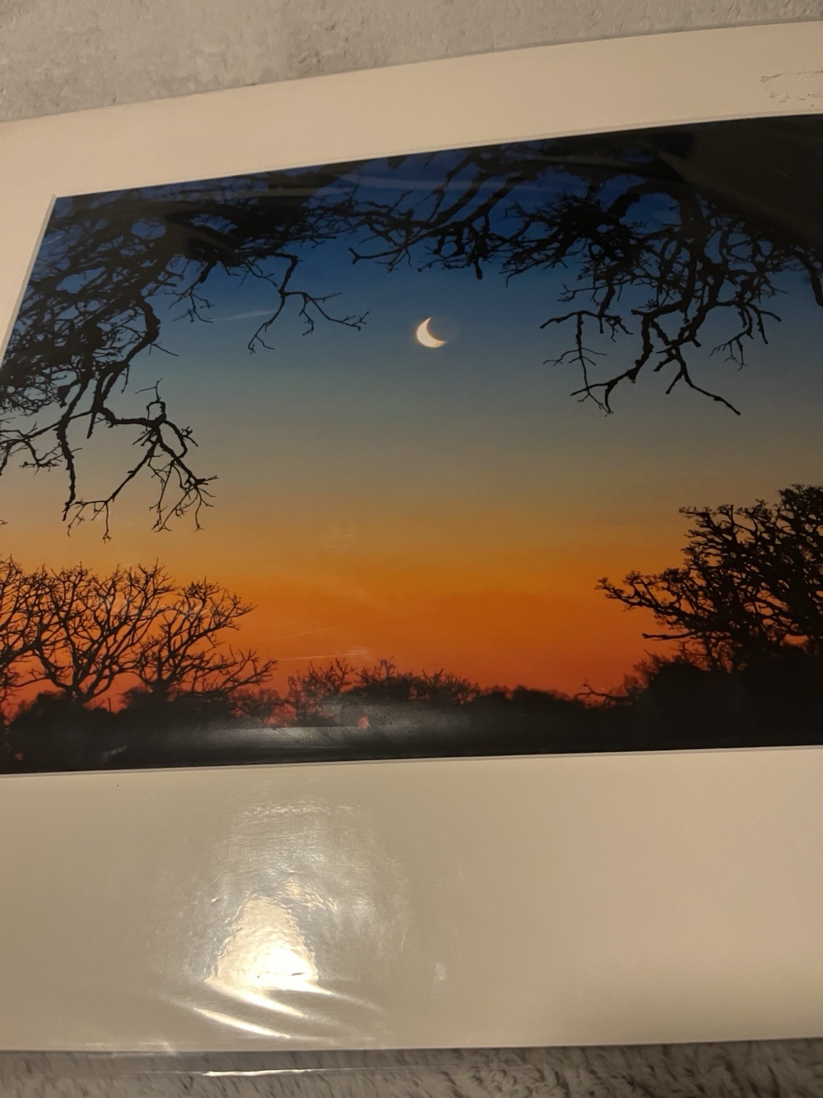 Slice of Moon over Trees Morgan California Matted Art Photograph Kevin Fox 2007