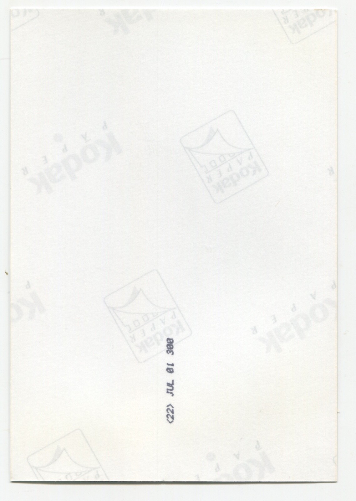 D8898 Photo 1980s Artistic Nude Pretty Woman