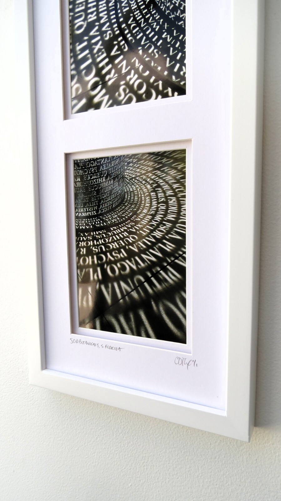 Framed Original Photography, Architectural, Travel, Sculpture by C. Damien Fox