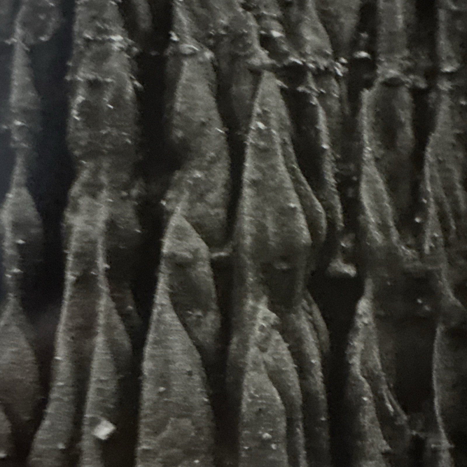 Original 1984 Handmade Darkroom Gelatin Silver Print by Richard J. Hedges