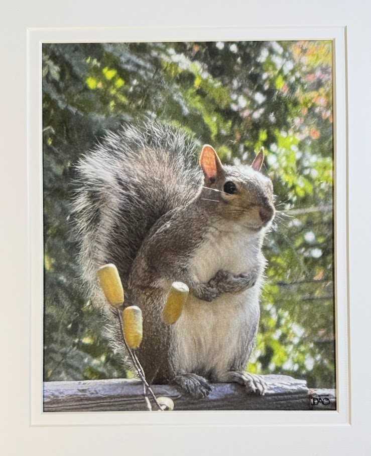 Hungry Squirrel Digital Watercolor Original Photograph 8 X 10 Mat 11 X 14 Signed