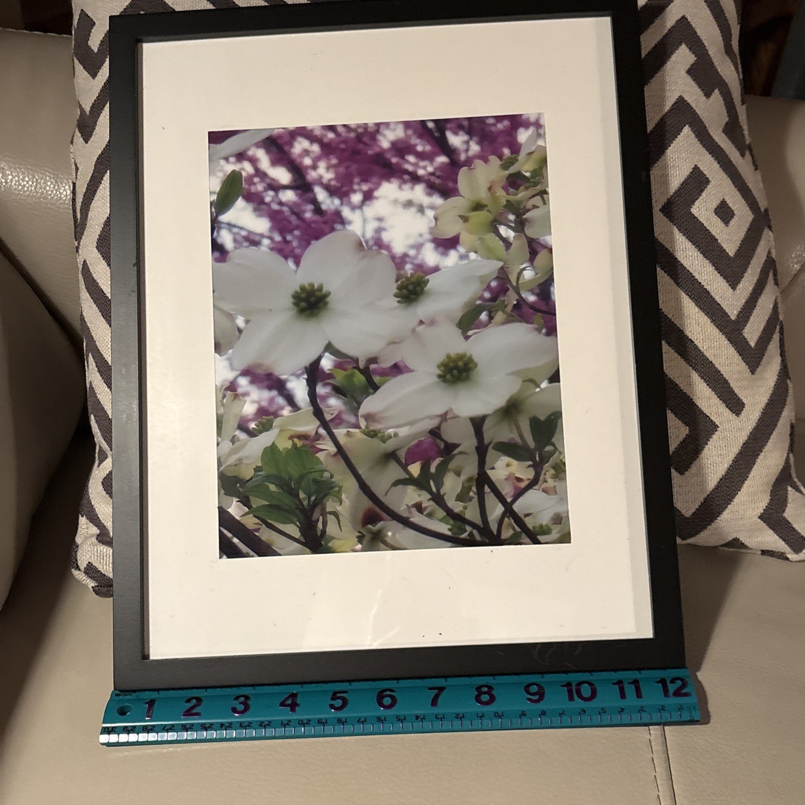 Nature photograph framed. color photograph, flowers, framed and matted. Dogwood
