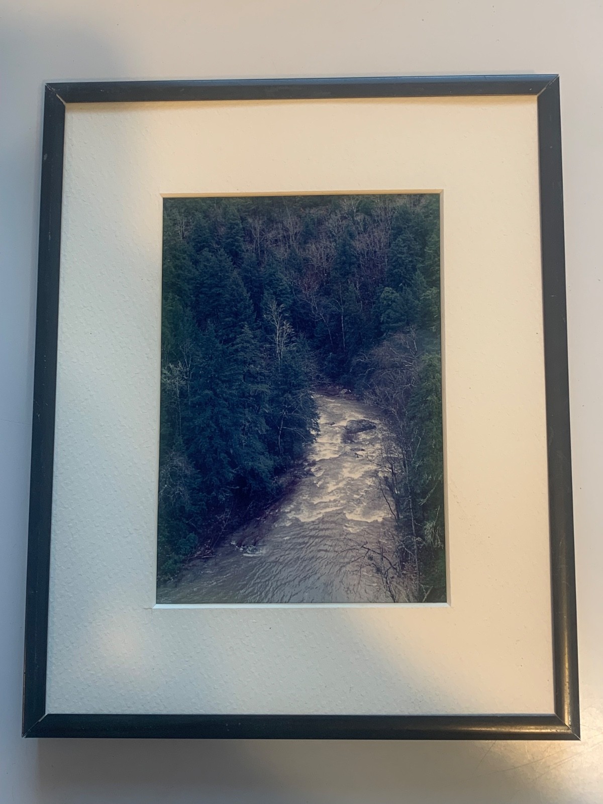 Decorative Color Landscape Photograph River and Forest Scene