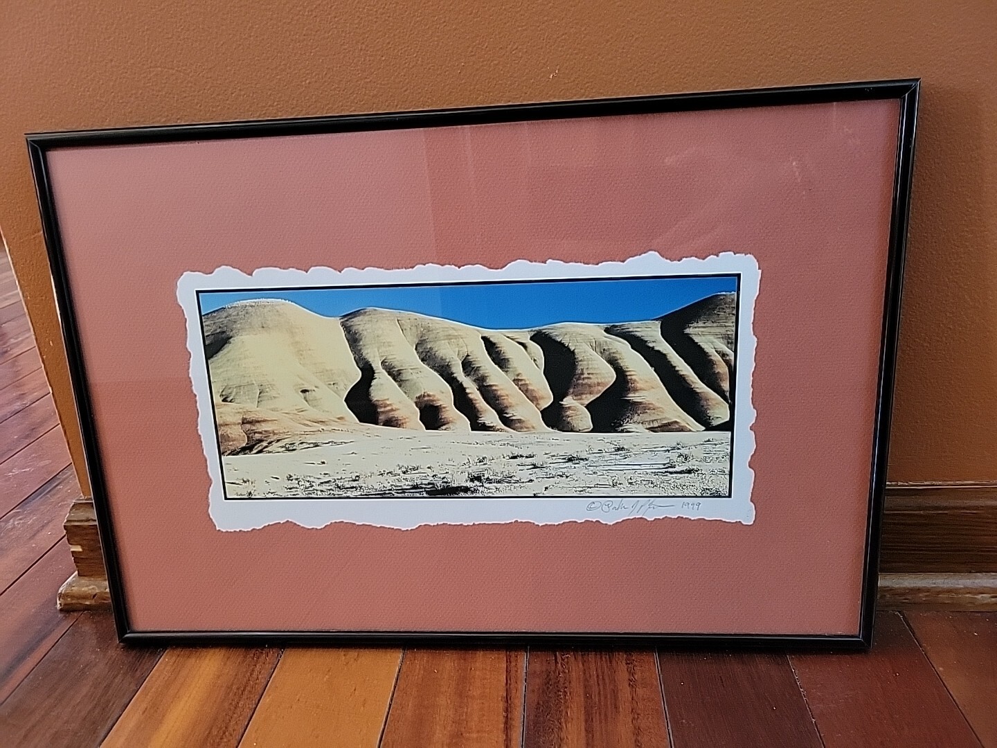 Painted Hills Oregon Photograph Signed Matted Vtg 1999 Nielsen Frame READ