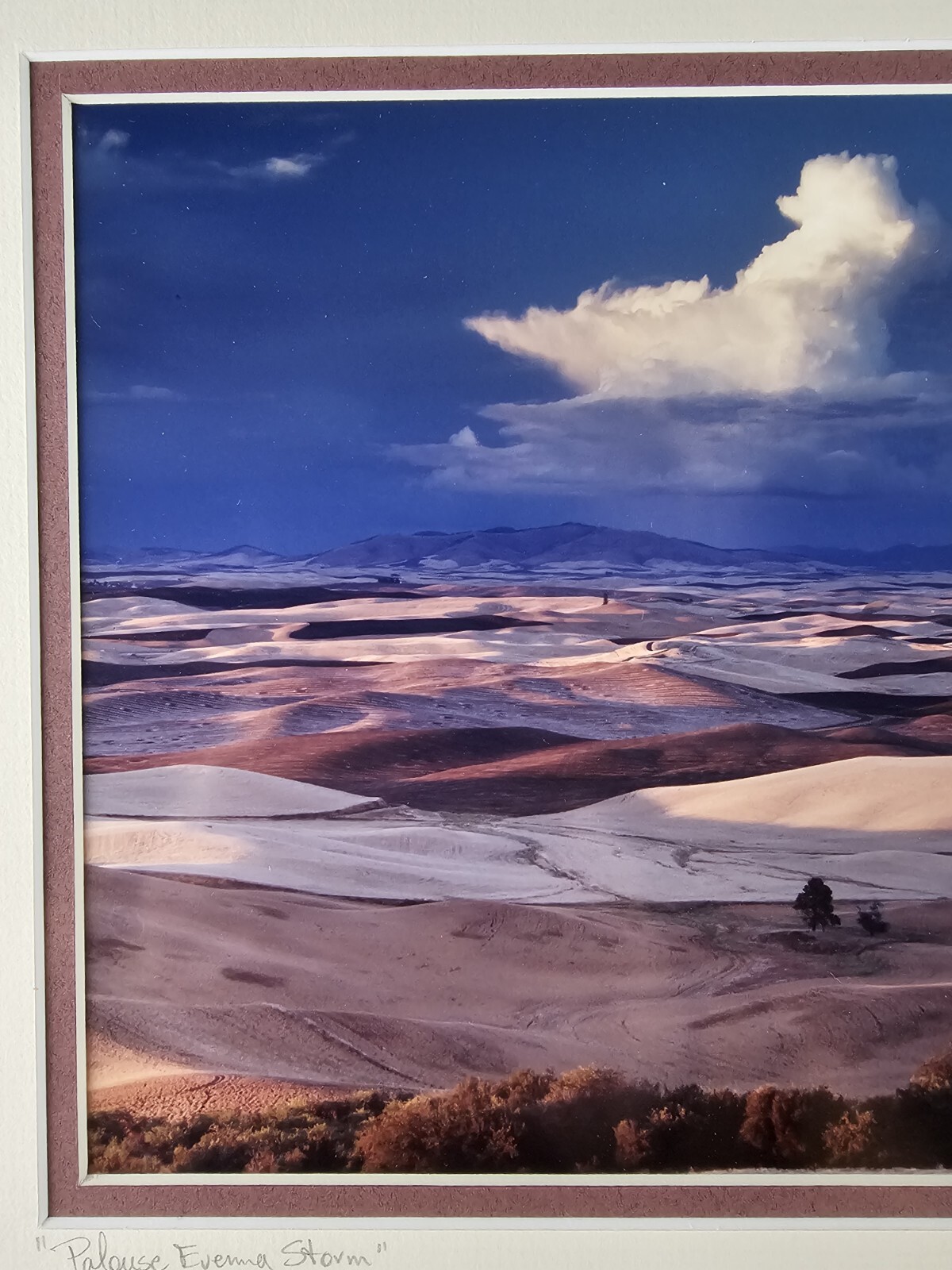 ART – Original Signed John Clement 35mm Photograph 16×13 Framed Modern Landscape