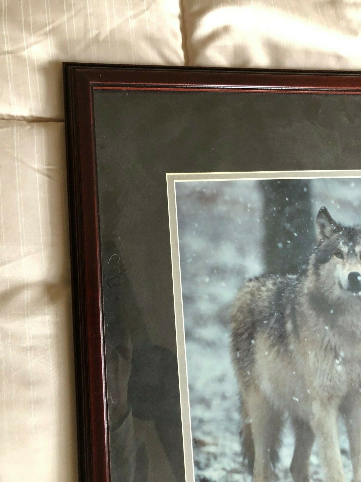 “WOLF EARLY WINTER SNOW” OPEN EDITION FRAMED PHOTOGRAPH BY CHET DOWELL