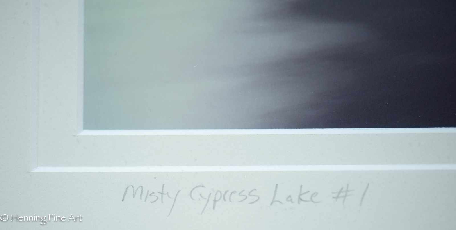 Jeff Ripple Signed Photograph of Misty Florida Cypress Tree Landscape 22×32″