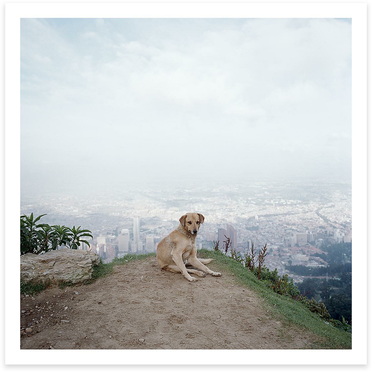 ALEC SOTH ‘Bogota, Columbia’ 2003/2021 SIGNED Ltd. Edition Photograph 6″x6″ NEW!