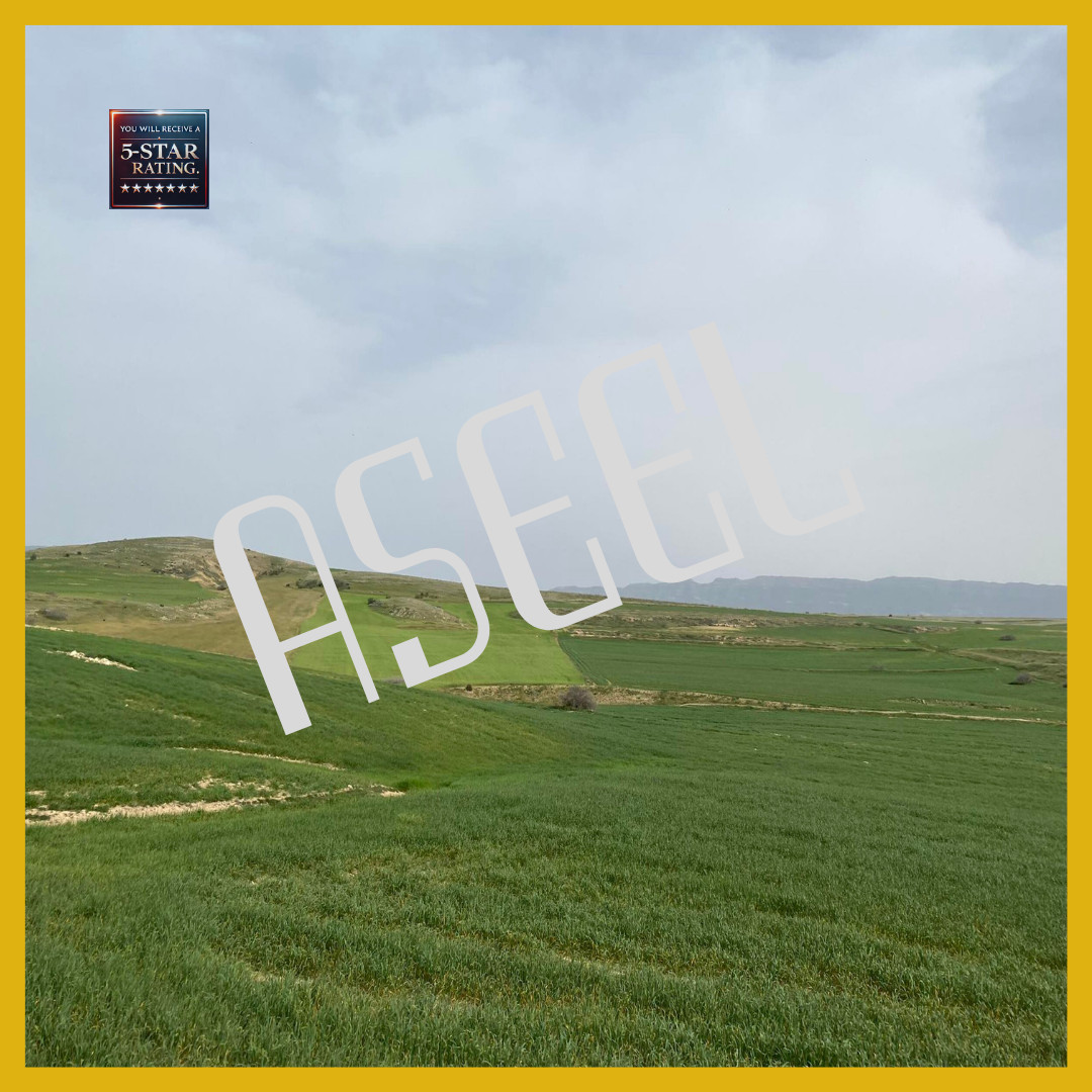 Serene Siliana Hills – A Glimpse of Nature’s Tranquility 23-39