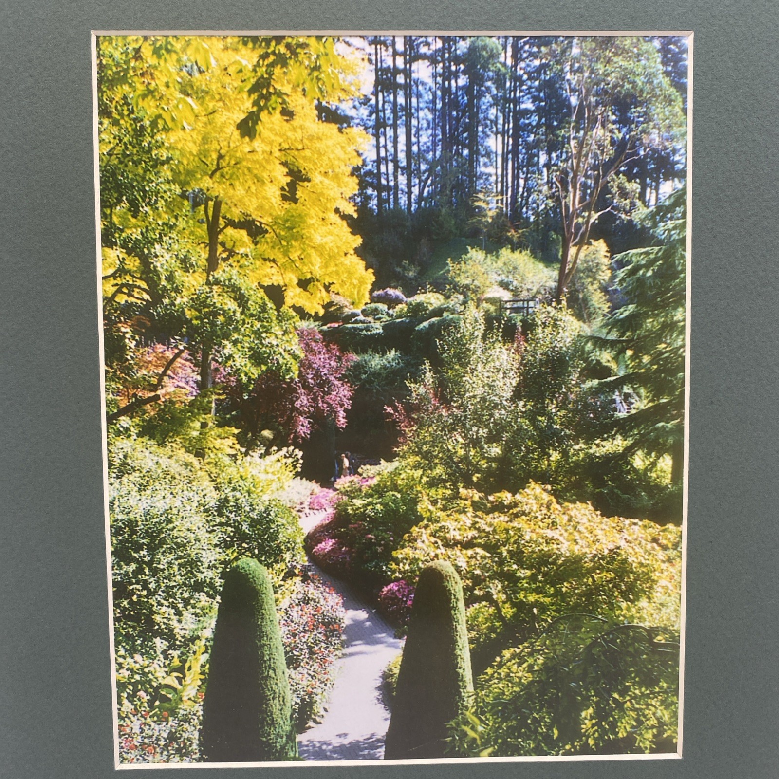 Matted Flower Garden Landscape Photo Print 11 X 14 Wall Art Gallery Decor