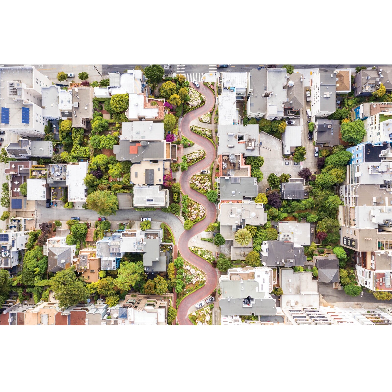 Lombard Street San Francisco, Crooked Street, California Fine Art Photography