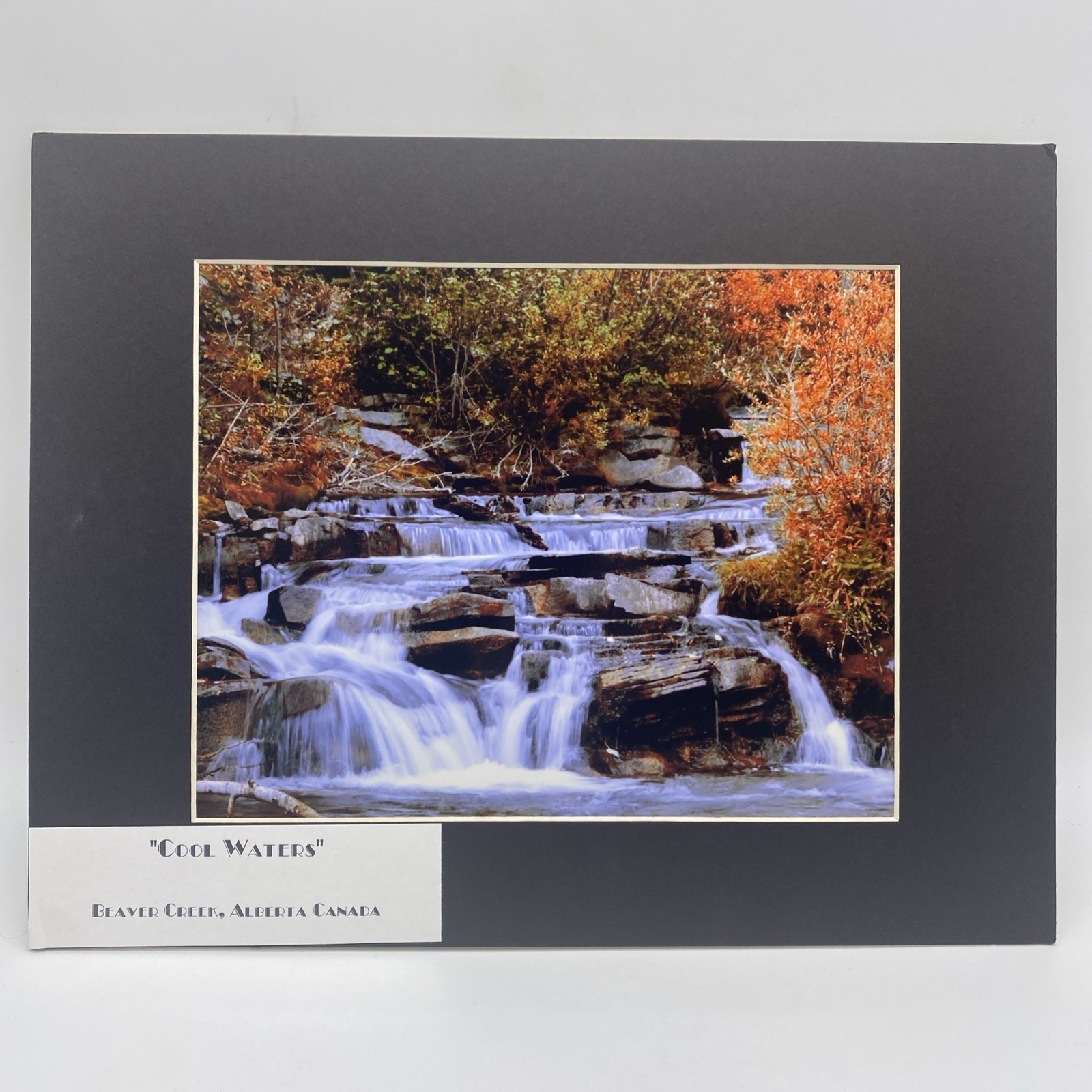 Matted River Forest Landscape Photo Print 11 X 14 Wall Art Gallery Decor